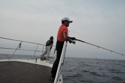 ワープゾーン 釣果