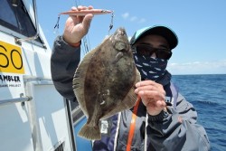 ワープゾーン 釣果