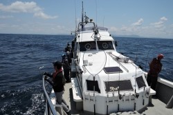 ワープゾーン 釣果