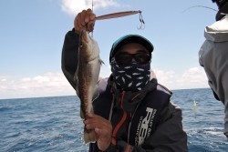 ワープゾーン 釣果