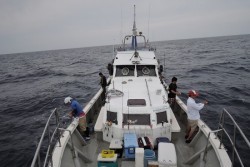 ワープゾーン 釣果