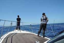 ワープゾーン 釣果