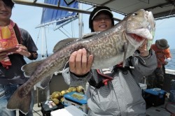 ワープゾーン 釣果