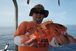 ワープゾーン 釣果