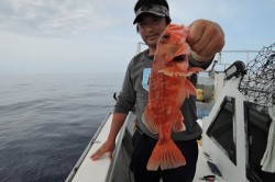 ワープゾーン 釣果