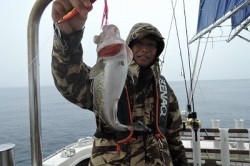 ワープゾーン 釣果