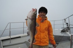 ワープゾーン 釣果