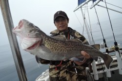 ワープゾーン 釣果