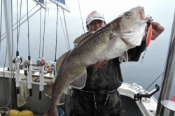 ワープゾーン 釣果