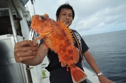 ワープゾーン 釣果