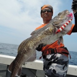 ワープゾーン 釣果