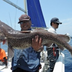 ワープゾーン 釣果