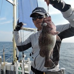 ワープゾーン 釣果