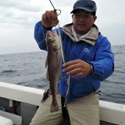 ワープゾーン 釣果