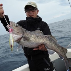 ワープゾーン 釣果