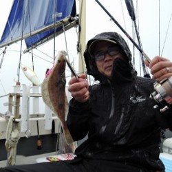 ワープゾーン 釣果