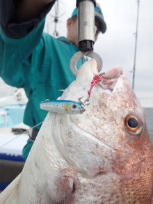 水天丸 釣果
