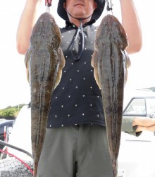 ＪＤＩ　Ｒａｃｉｎｇ　シールズマリンレジャー 釣果