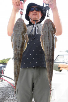 ＪＤＩ　Ｒａｃｉｎｇ　シールズマリンレジャー 釣果