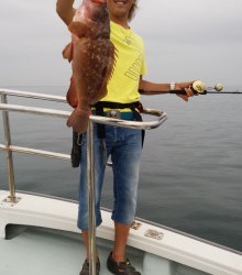 オーシャンスター(Ocean Star) 釣果