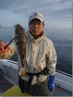 からこと丸 釣果