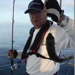 からこと丸 釣果