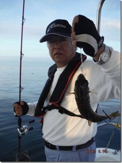 からこと丸 釣果