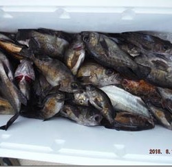 からこと丸 釣果