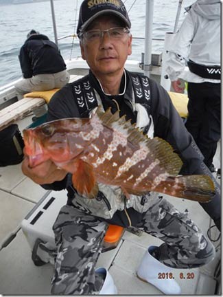 からこと丸 釣果