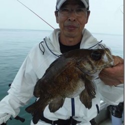 からこと丸 釣果