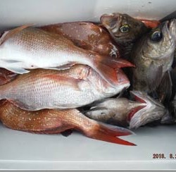 からこと丸 釣果