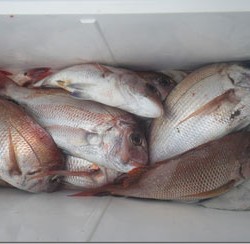 からこと丸 釣果