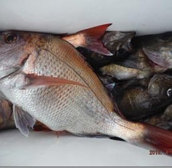 からこと丸 釣果