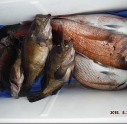 からこと丸 釣果