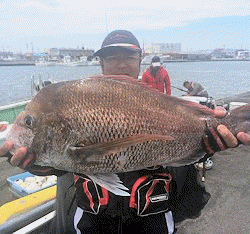 橋安丸 釣果