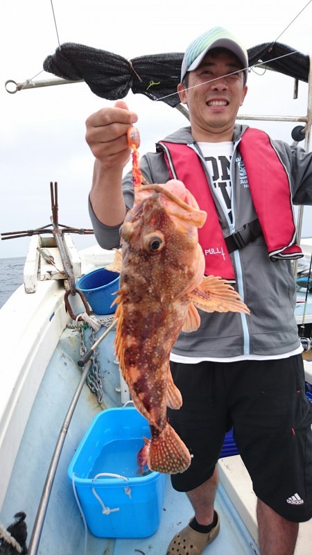 リトルワン 釣果