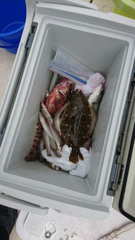 リトルワン 釣果