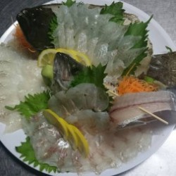 リトルワン 釣果