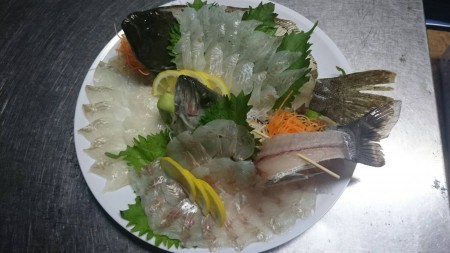 リトルワン 釣果