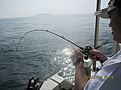 遊漁船 未紗奈 釣果