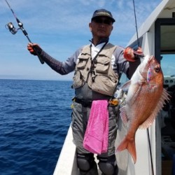 鯛多ニック 釣果
