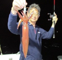 ジギング船 BLUEWATER 釣果