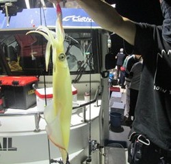 ジギング船 BLUEWATER 釣果