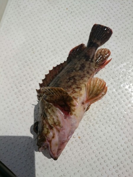 強風警報は・・・