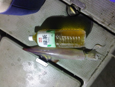 先週に引き続き