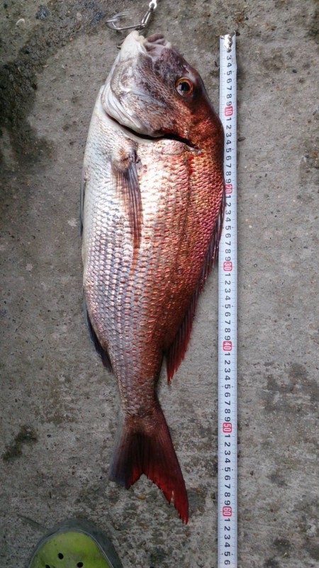 マイボートでタイラバ釣行