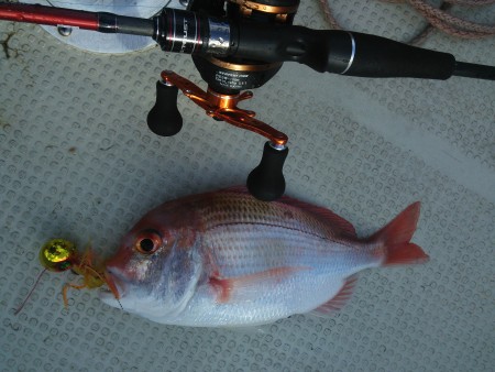 夕方短時間釣行