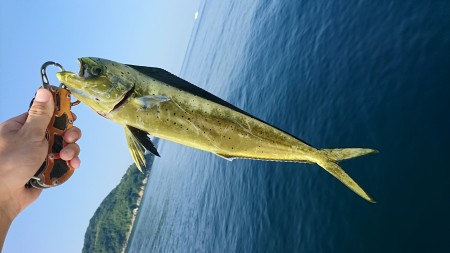 マイクロジギング