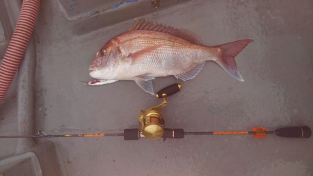 和歌山中紀のジギング