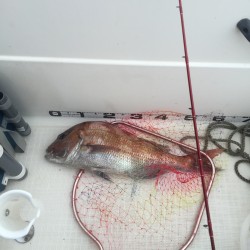 雨の中マイボートでタイラバ釣行